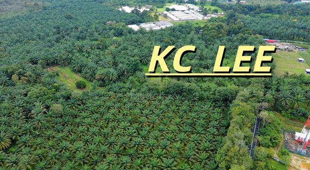 2.67 Acres Main Road Agricultural Land @ Bukit Teh , Bukit Mertajam 1