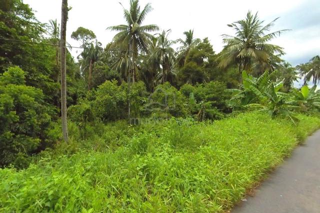 [COLLECTION] Agricultural Land at Asajaya (Mixed Zone) 1