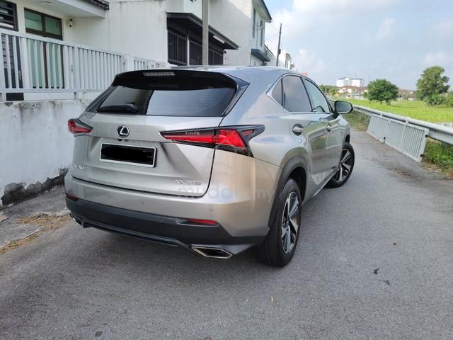2018 Lexus NX300 2.0 URBAN (A) - 3
