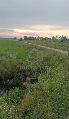 TANAH KOSONG (sesuai utk rumah)sintok bugis kuala muda kedah 1