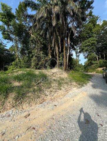 Pahang 470 Acres Land for Sale | Near ECRL Station | Freehold 1