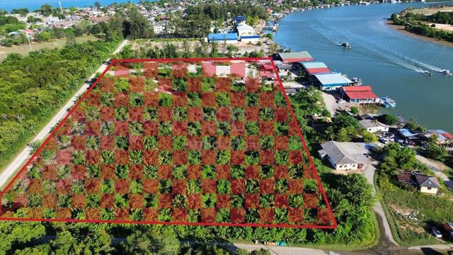 (Industrial Land)_Jalan Feri Lama Mukim Cukai, Kemaman 1