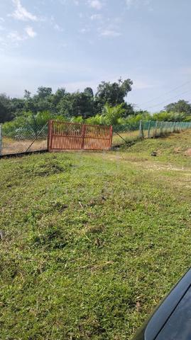 Palm Oil Plantation For Sale 1