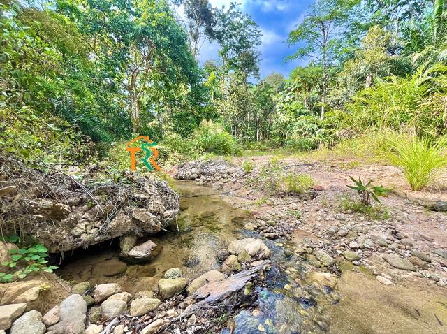 TANAH LATA SUNGAI ! Geran 1 NAMA ! Boleh LPPSA ! 5 Relong ! 3