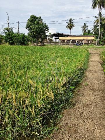 tanah untuk dijual 1
