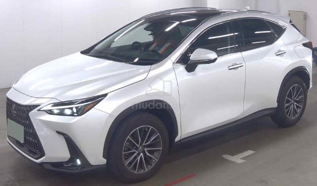 2023 Lexus NX250 2.5 BASE GRADE (A) - 3
