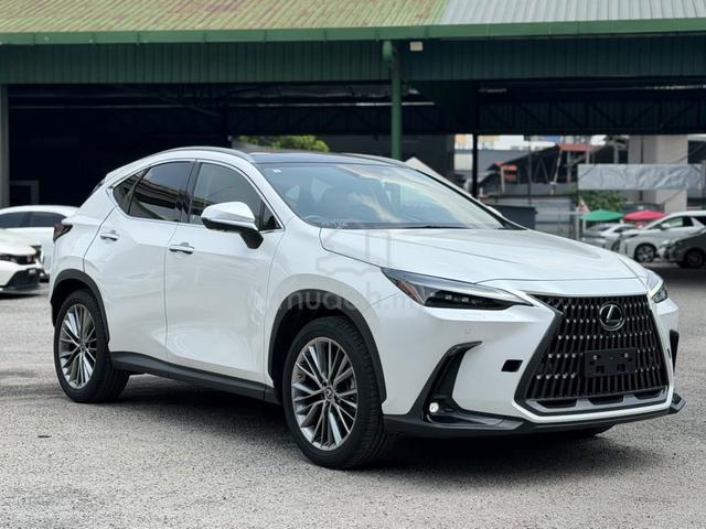 2023 Lexus NX250 LUXURY 2.5 (A) - 1