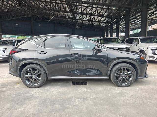 2023 Lexus NX 250 Luxury 4Cam RedLeather DIMHUD PB - 5