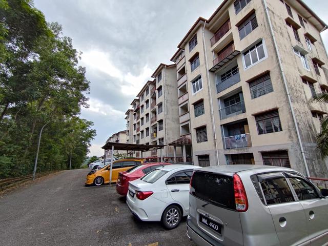 Mawar Apartment @ Prima Beruntung 1