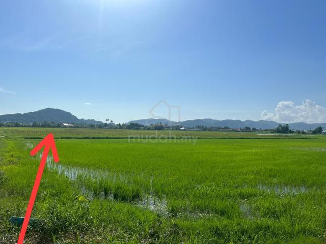 Tanah Untuk Dijual ‼️ 1