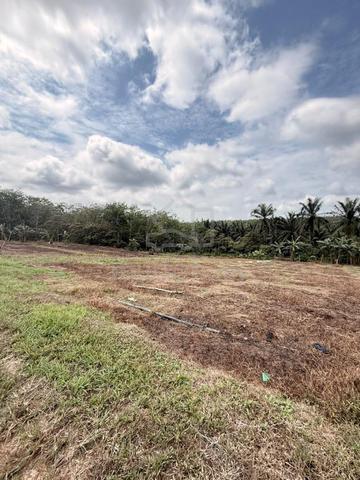 Tanah 8 Ekar Tanah Bukit siap sumber Air dan Lampu Solar di Kulai 1