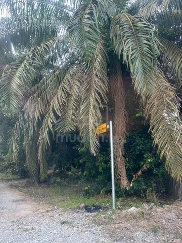 Tanah Parit Sikom, Pontian Untuk Di Jual 1
