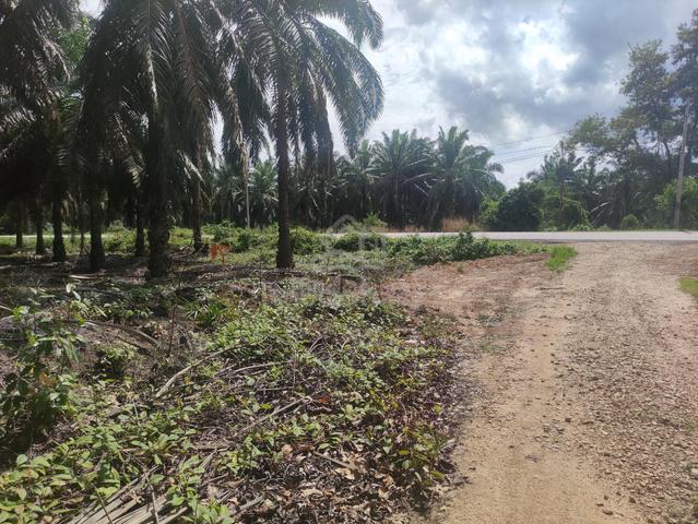 Tanah di kampung jawa lenga muar 1