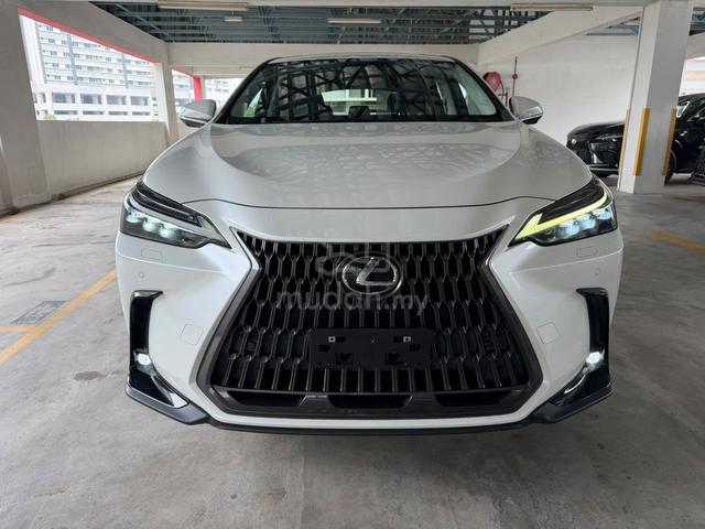 2022 Model: Lexus Nx250 - 3