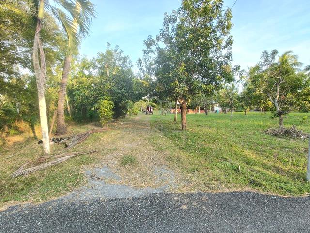 TANAH KAMPUNG, Lorong Air, Kg Padang Lati, Kangar, Perlis 1