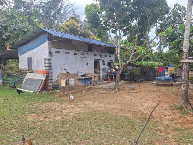 Tanah Kebun Yang Cantik Di Tamparuli 1