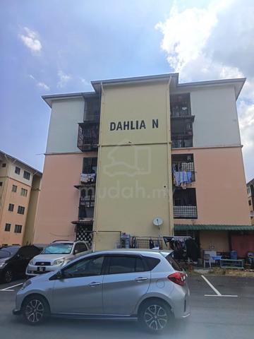 Dahlia (Seremban) 1