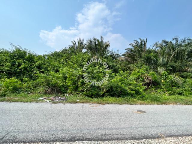 (8019 SQFT) Bungalow Lot Kg Pasir Mas Rantau 2
