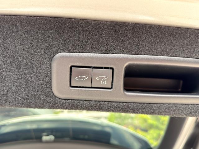 2021 Lexus RX300 F SPORT 2.0L (A) Cheaper In Town - 5