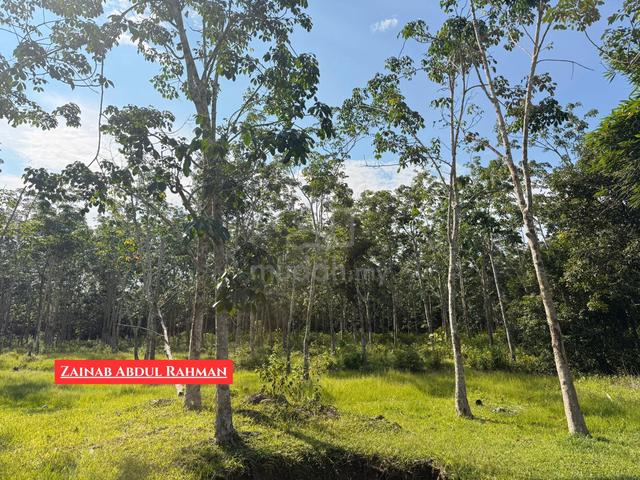 Tanah Pertanian Di Mukim Bagan Sena, Kulim, Kedah 1