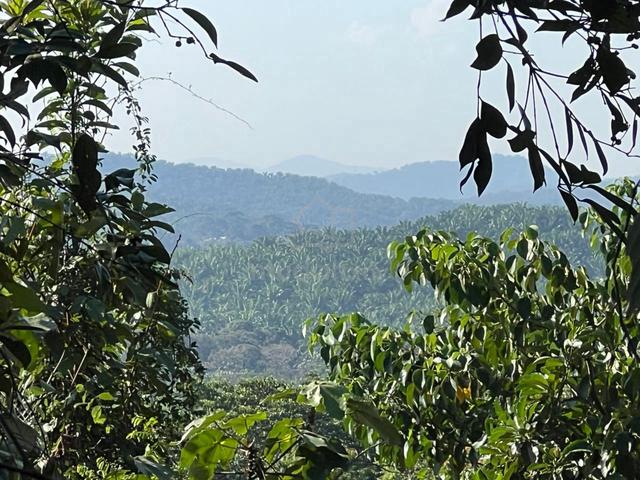 tanah below harga market 1