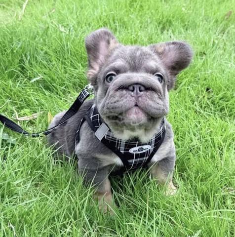Carousel Image Selected