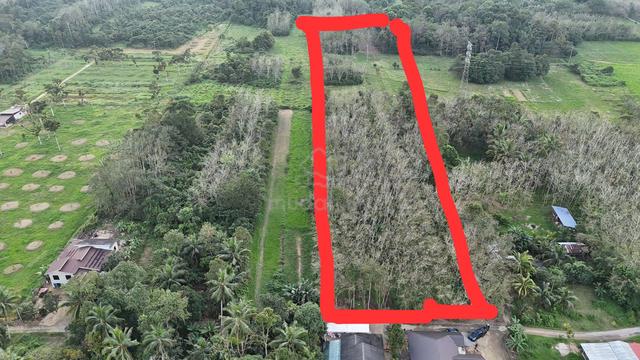1/2 Bahagian Tanah Pertanian Lot 2640 Pasir Mas  1