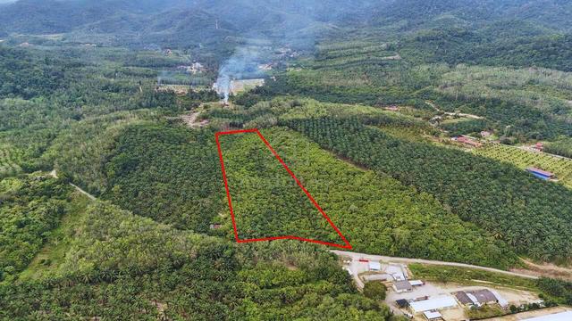 9.9 Ekar Tanah Pertanian Tampin Negeri Sembilan 3