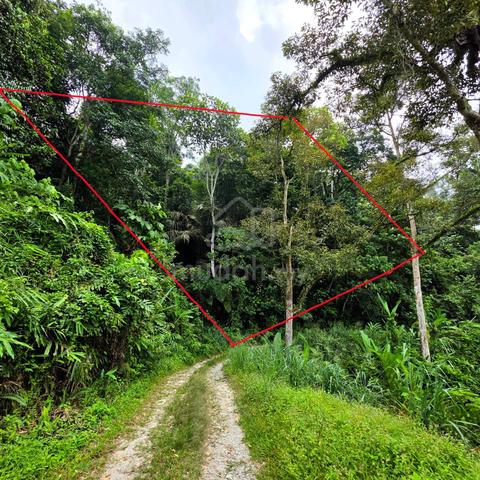 Agriculture land Segambir Hulu Langat Size 5.5 Acre 1