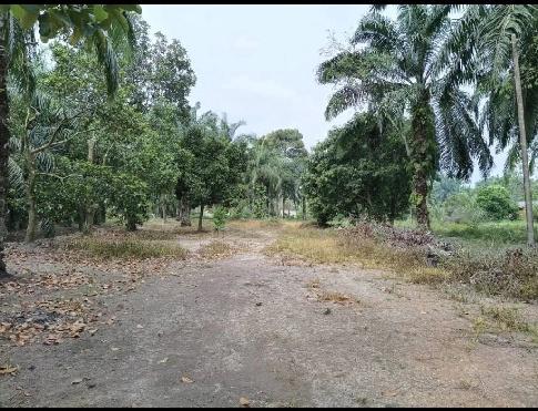 lot 4000kps bukit kuching jeram 1
