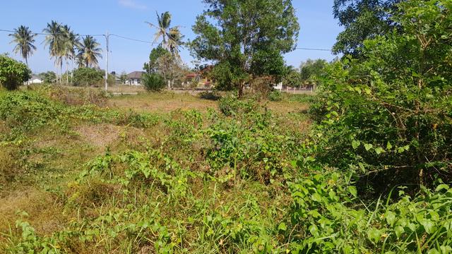 6200meter persegi 1