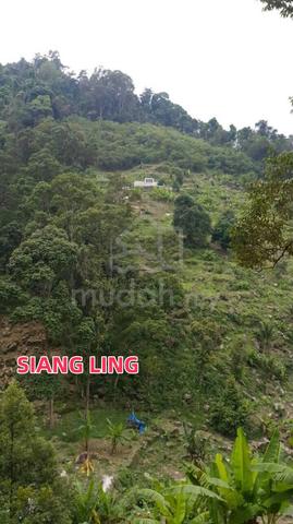 6.3 Acres Durian Farm Land Balik Pulau for Sale Below Market Value 1