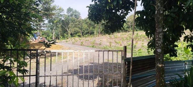 Tanah Pertanian 5 Ekar Taman Desa Sentosa Dusun Tua Batu14 Hulu Langat 1