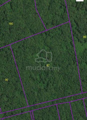 Sarawak Sarikei Agricultural Leasehold Land For Sale 1