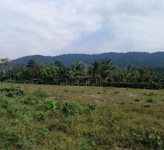 Tanah kampung pantai 1