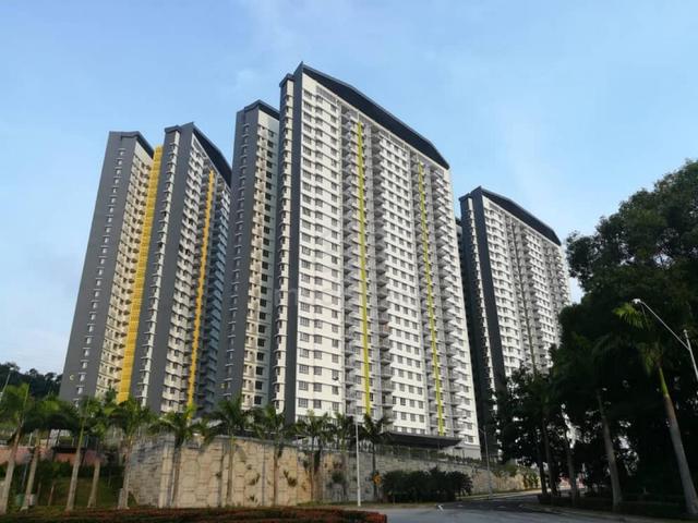 PPA1M Pudina 1