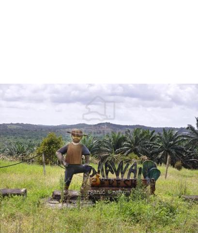 Mawai Eco Agricultural & Resort 1