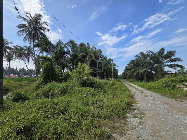 Agricultural Land 1 Acre Jalan Kapar Klang 1