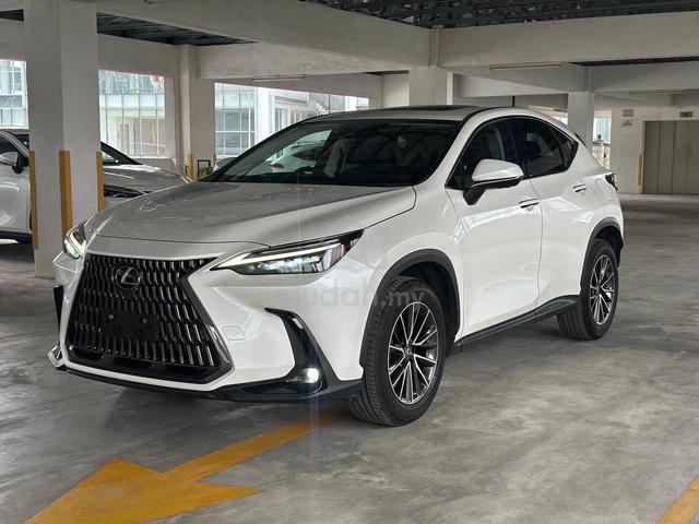 *Sunroof / 360 Cam / Black Interior* Lexus NX250 - 2