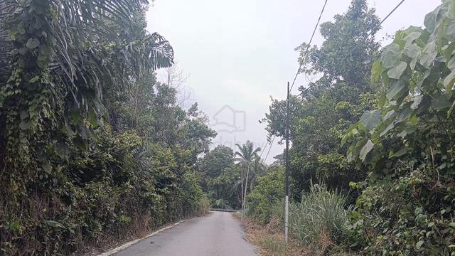 tanah cantek 1