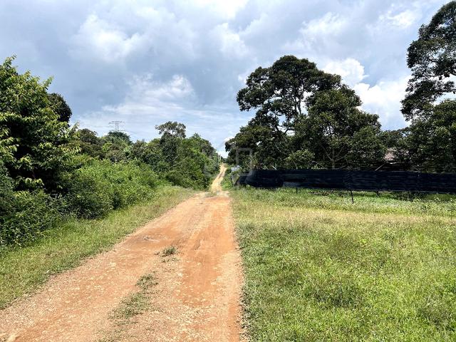 Multiple Agriculture Purpose Land (1 Acre) with Reserve Road for Sale 4