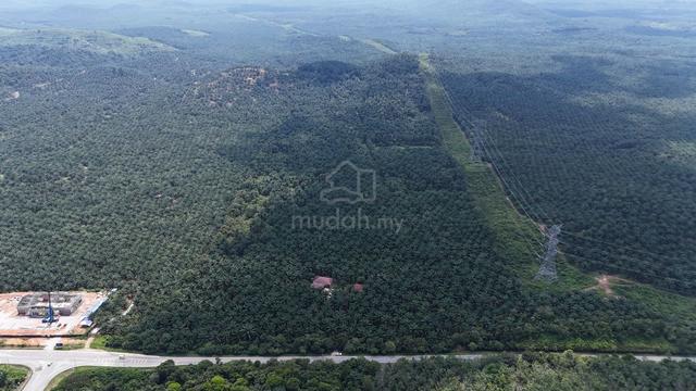 Tanah Sawit 100 Ekar Hasil RM40K, 2.9 Juta Bawah Pasaran di Jempol N9 1