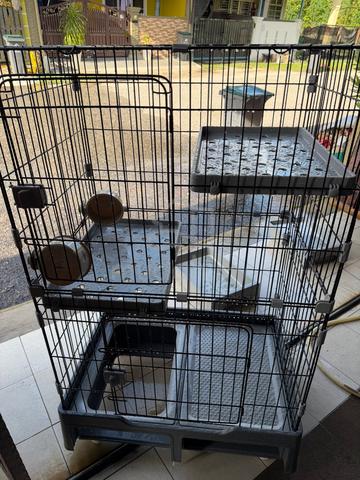 sangkar kucing besar - photo 3 of 6