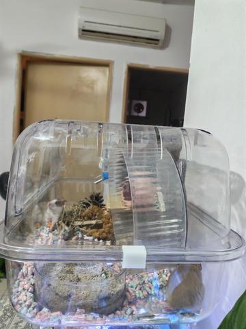 Carousel Image