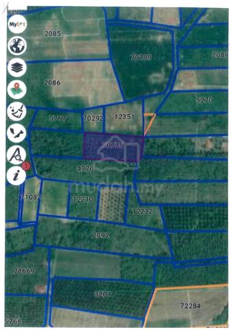 Tanah Kebun (Getah) untuk di Jual 1