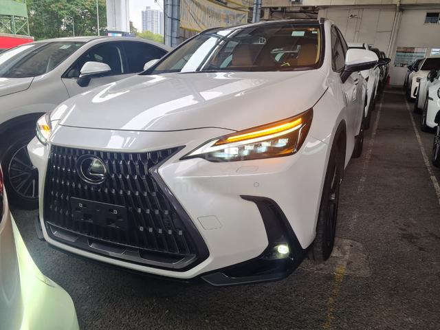2023 Lexus NX250 2.5 Luxury Panoramic Roof Unreg - 2