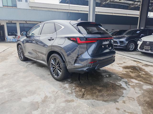 2025 Lexus NX250 2.5L VERSION L, Brown LS - 4