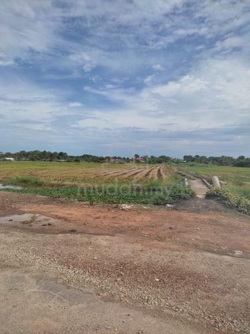Di jual Tanah Pertanian Freehold-lokasi strategik Dekat AMJ Highway 1