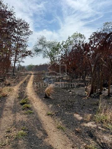 TANAH 1 EKAR Di BERIS LALANG BACHOK 1