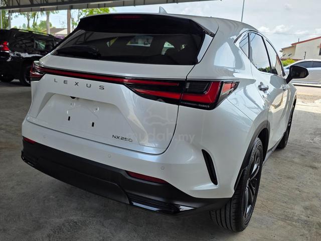 2022 Lexus NX 250 2.5 LUXURY (A) - 4
